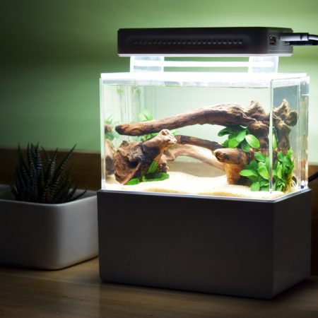 Nano Desktop Aquarium