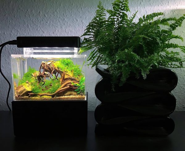 Tiny Aquarium