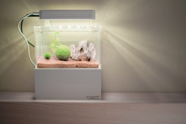 Nano Aquarium